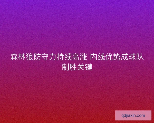 森林狼防守力持续高涨 内线优势成球队制胜关键